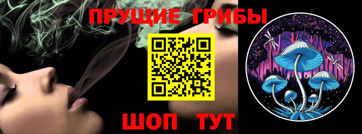 Псилоцибиновые грибы Cubensis Кириши